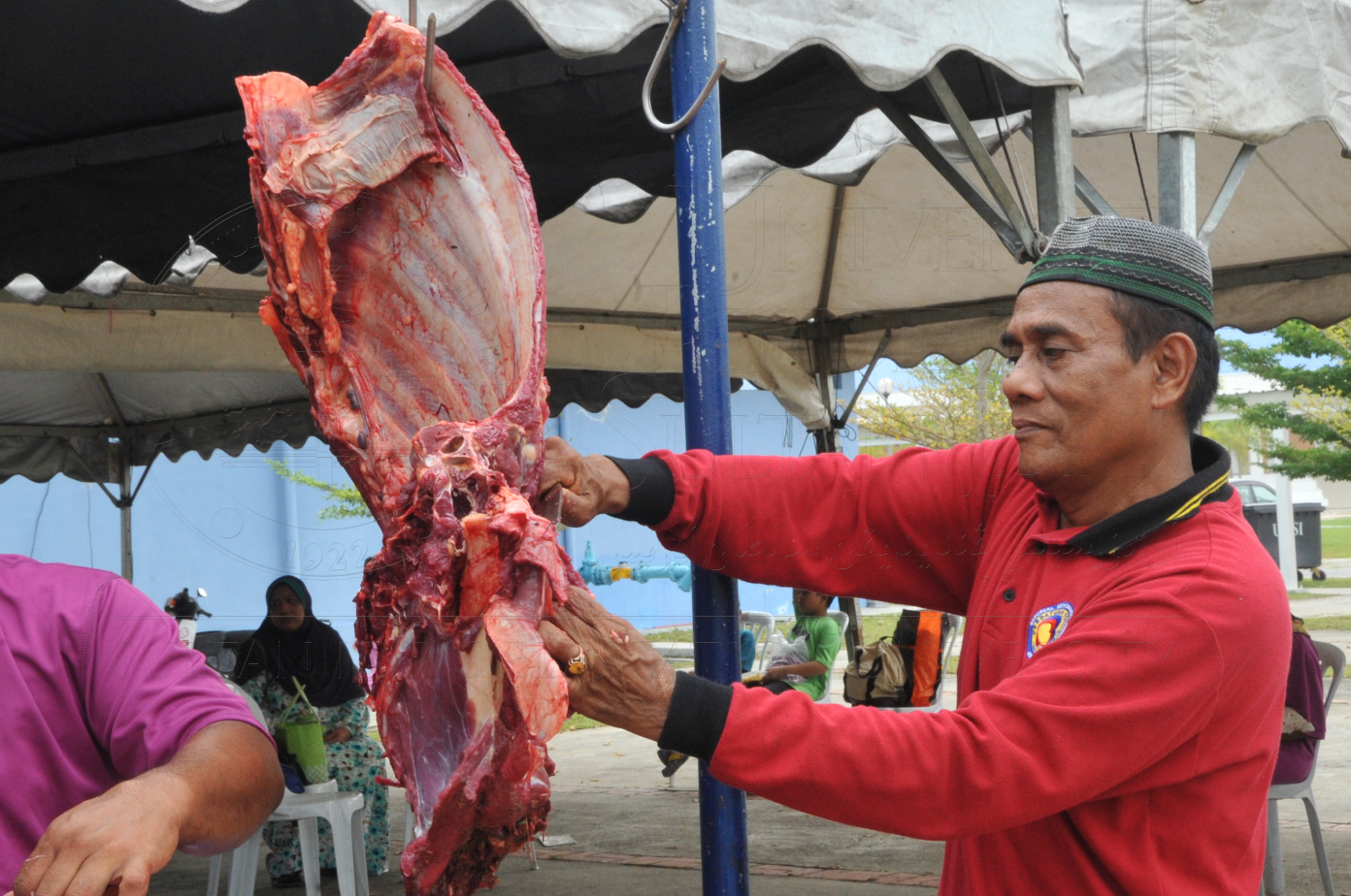 PRO15 150 KORBAN HAS 7018